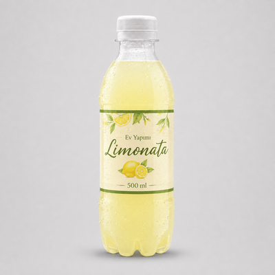 Ev Yapımı Limonata (500 ml)